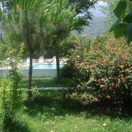 Fire Pansiyon Çıralı Exterior foto