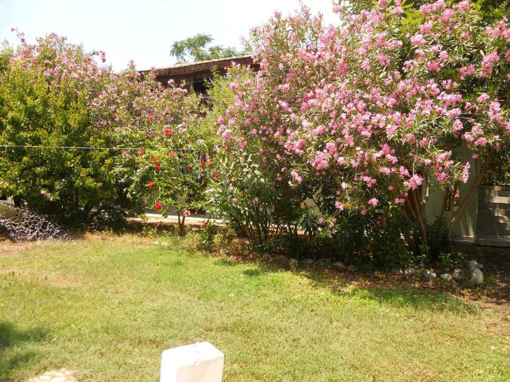 Fire Pansiyon Çıralı Exterior foto