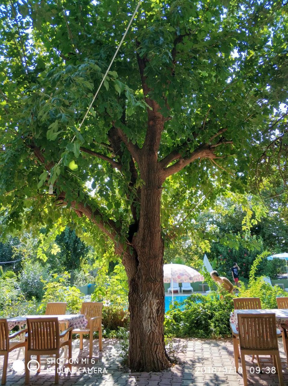 Fire Pansiyon Çıralı Exterior foto